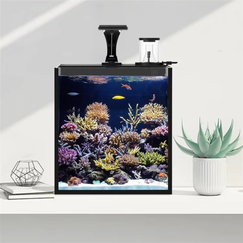 Ультрапрозрачный стеклянный ми – обзор и цена Marine Aquarium Cube