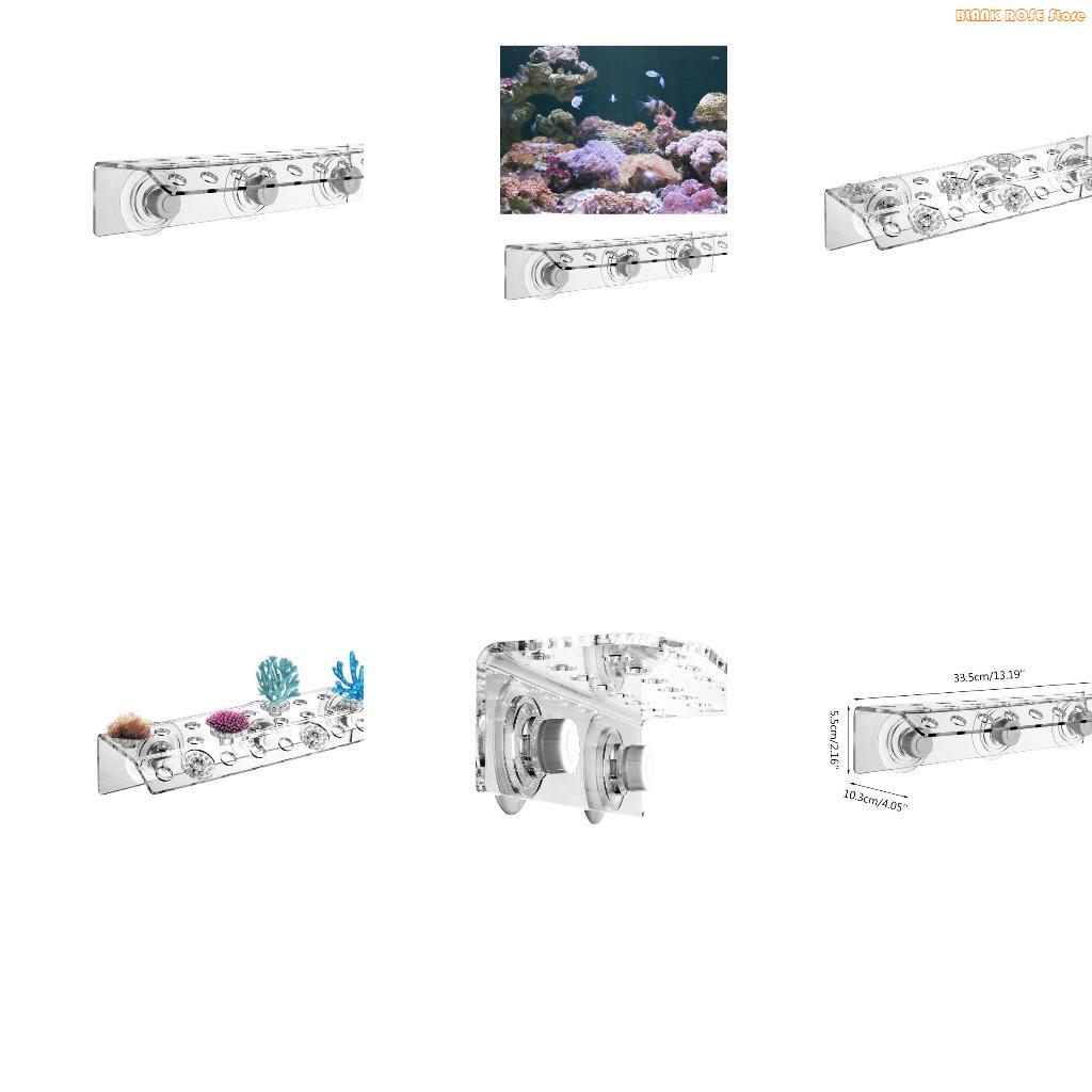 K1AE Акриловая подставка для к – обзор и цена Reef Aquarium