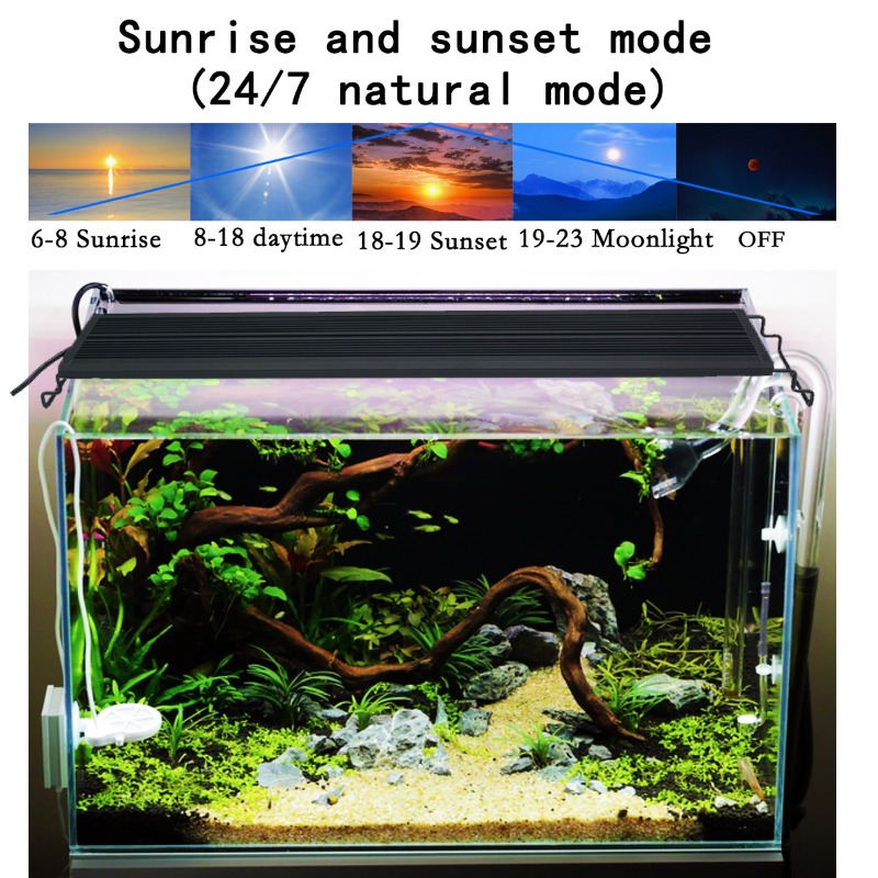 Светодиодный светильник для ак – обзор и цена Reef Lighting