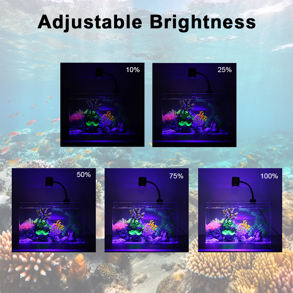 Светодиодный светильник для ак – обзор и цена Reef Lighting