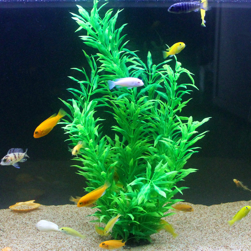 50 см искусственный аквариум р – обзор и цена Ocean Aquarium